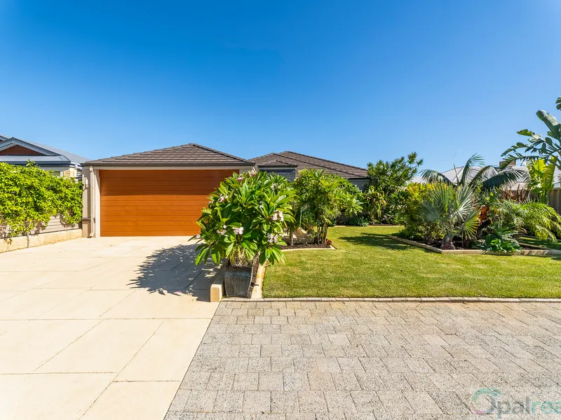 Resort style entertainer