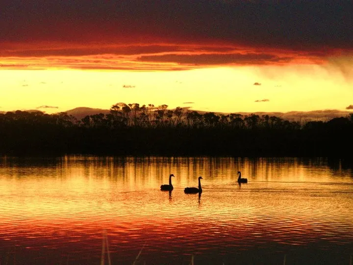 Lake Retreat: Off Grid Coastal/Bushland Lifestyle and Affordable Living