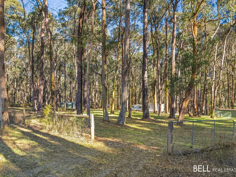 Secluded Riverside Retreat - Your Oasis on the Yarra