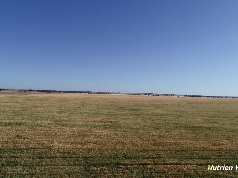 Mixed Farming Opportunity, ready to go!