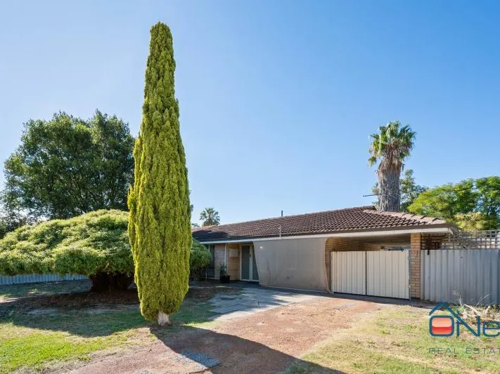 HUGE YARD FOR THE KIDS & PETS
