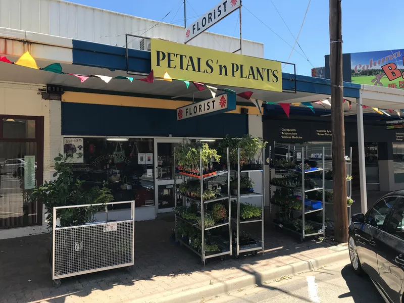 PETALS and PLANTS