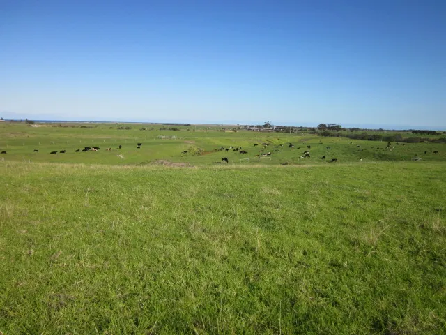 3.663 Hectares With A View! Beautiful Land!!
