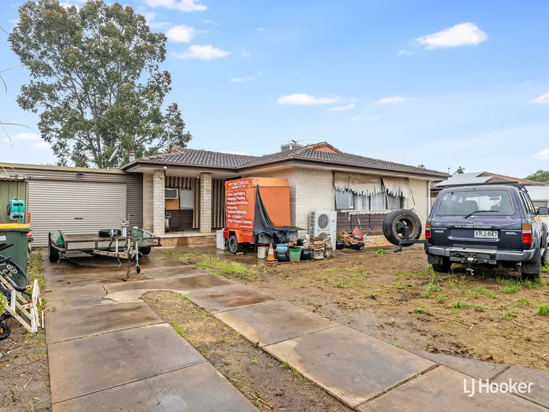 Starting Up, Slowing Down or Investing?