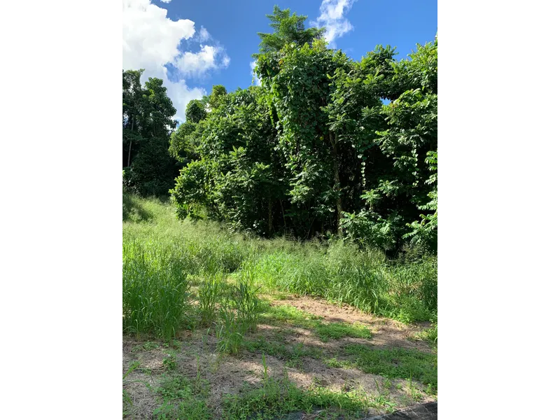 BUILD YOUR DREAM HOME HERE