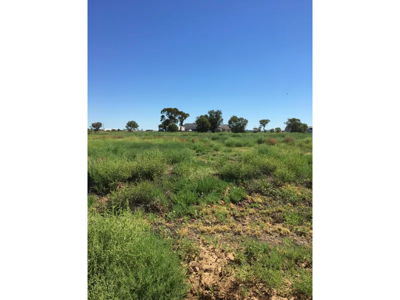 Vacant Land