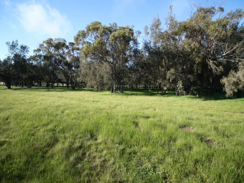 Mystical Hideaway (PRICE REDUCTION)