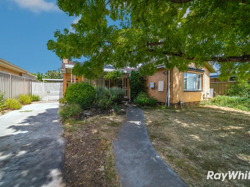 Spacious 3 Bed, 1 Bath Home in Flora Hill for just $410 per week!