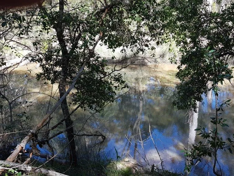 Bush Oasis with Plenty of Water