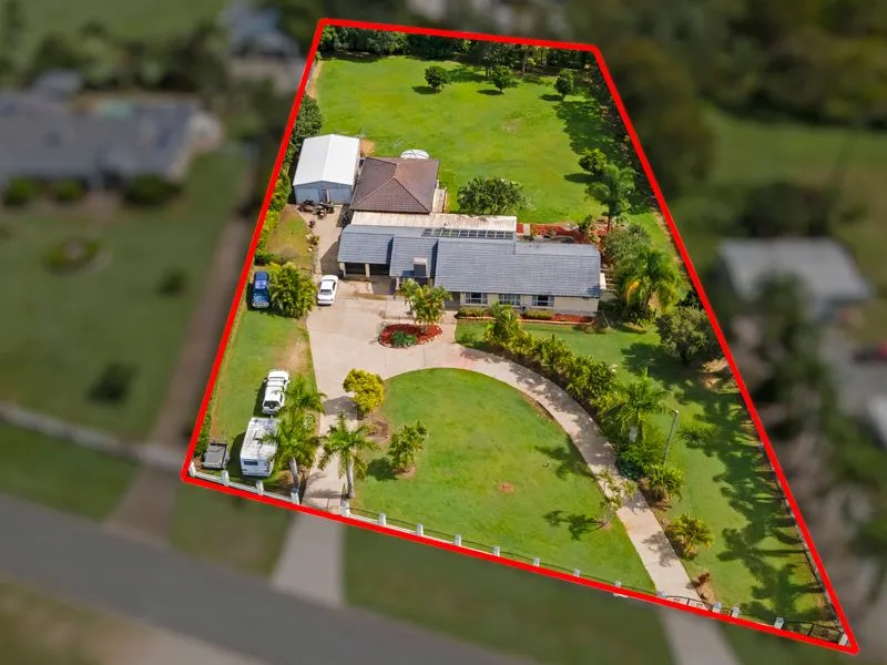 Let your imagination run wild!