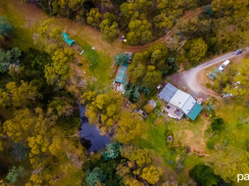 Ten Acres, A House, A Project