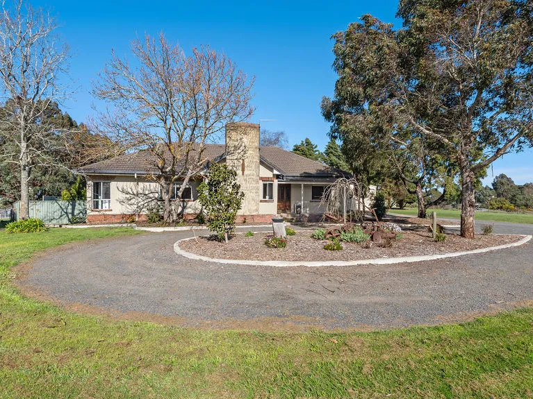 Situated on five acres, this beautiful home has enormous shedding, large bungalow, pool and close to the DTC