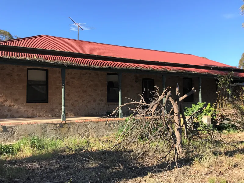 Character filled Original Limestone Homestead & Cottage!