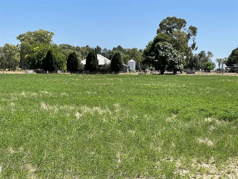 Mixed Farming Country at Yerong Creek.