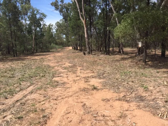 NOT QUITE 100 ACRES PRICED TO SELL!