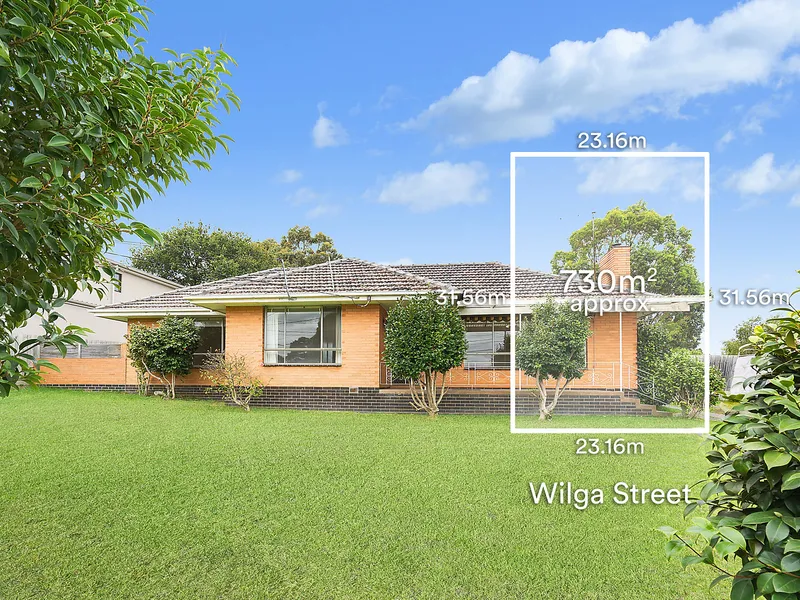 Conveniently Located On 730 Sqm With A 23m Frontage Backing Onto Parkland