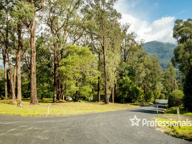 Time For A Tree Change