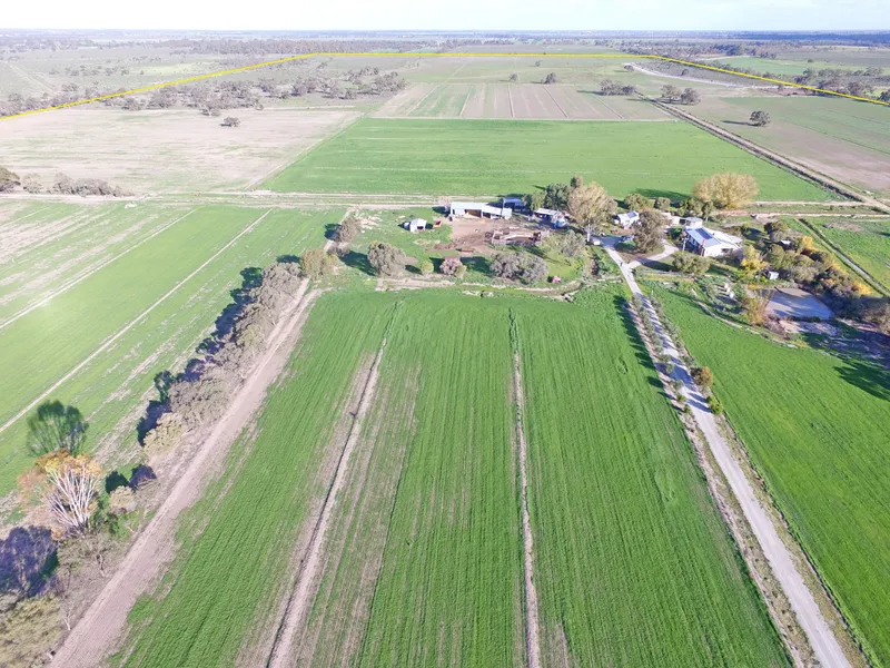 300 Plus acre Farm