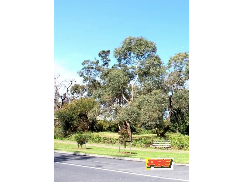 Prime Location. Ready To Go!