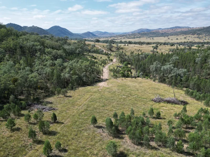 WOW!!!!!! - 100 ACRE BUSHBLOCK ONLY $165,950 - EASY ENTRY LEVEL Hobby Block for the Whole Family with VALLEY VIEWS & Plenty of Space to Spare