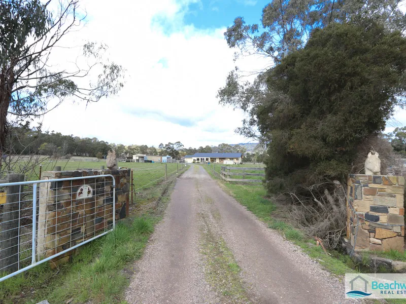 Lifestyle property for the Horse lovers