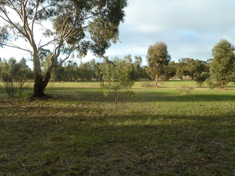 51 ACRES - 2 TITLES! 