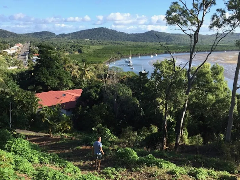 Out with the city and in with the tropical view