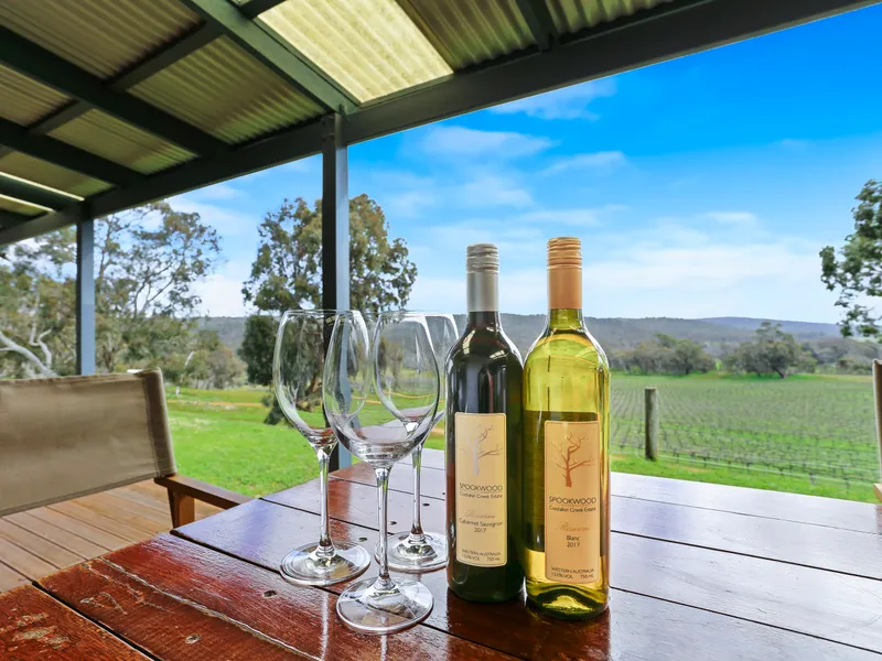 160 ACRES OF PRISTINE FARMLAND WITH A BONUS VINEYARD!!!