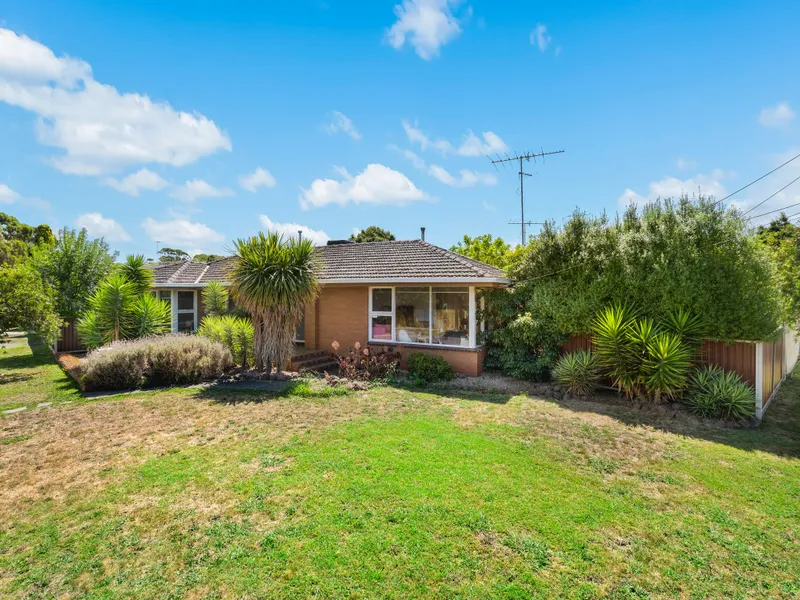 Immaculately Presentation