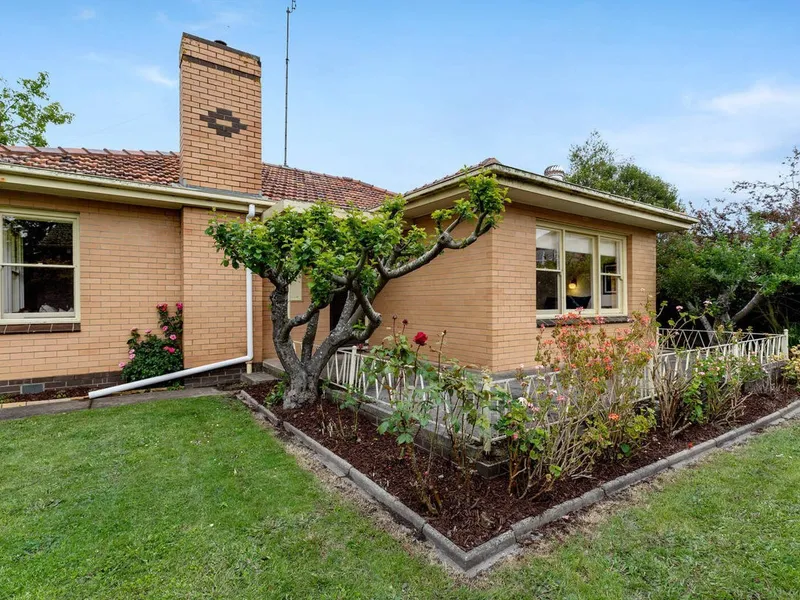 Rare Beauty on Lake Wendouree