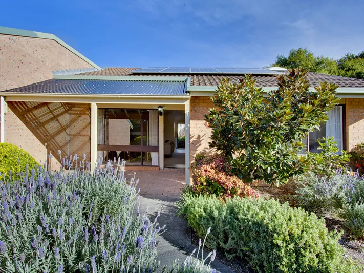 Plenty of natural light!