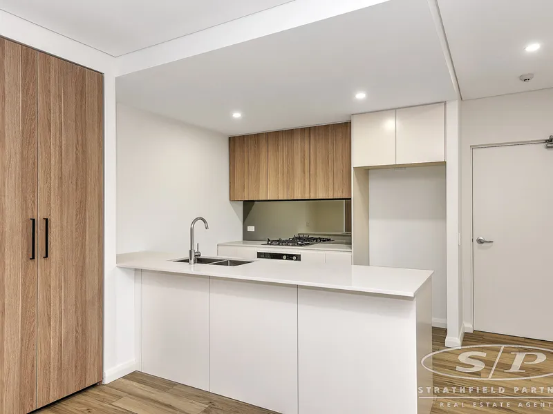 Luxury Apartment