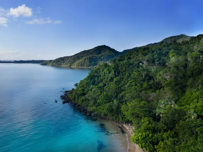 Beachfront Acres in Pristine Rainforest Overlooking Coral sea 
