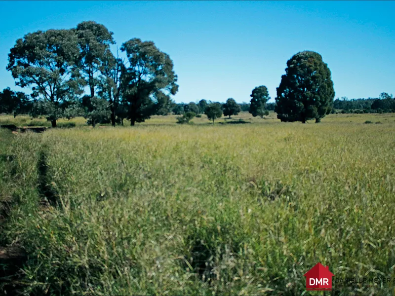 BLUE RIBBON HAWKWOOD GRAZING