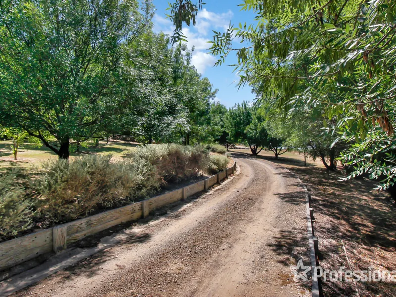 Elevated family entertainer meets enviable acreage living