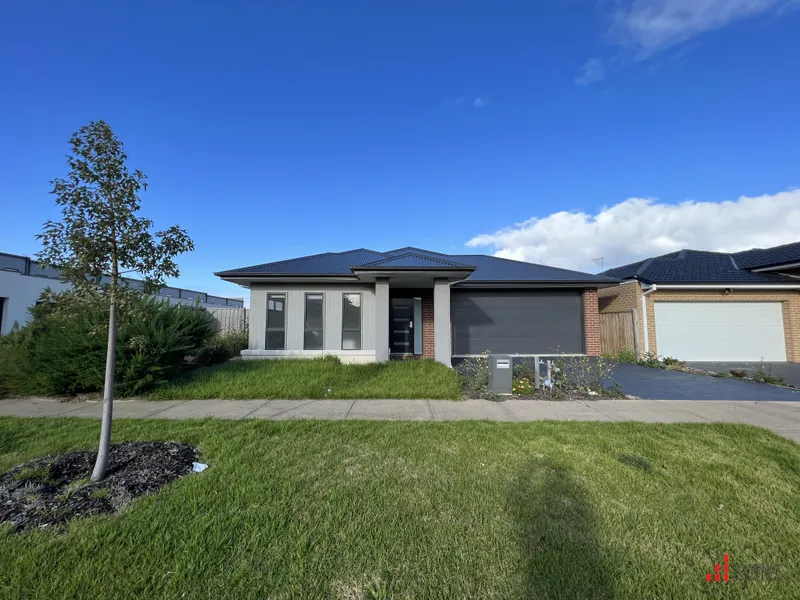 4 Bedrooms Family Home Near the Park