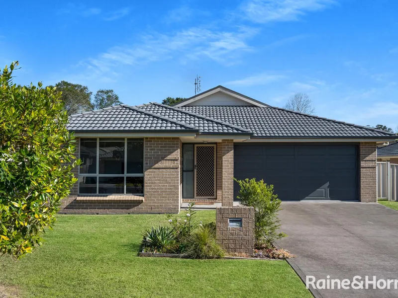 A Cracker on Candlebark