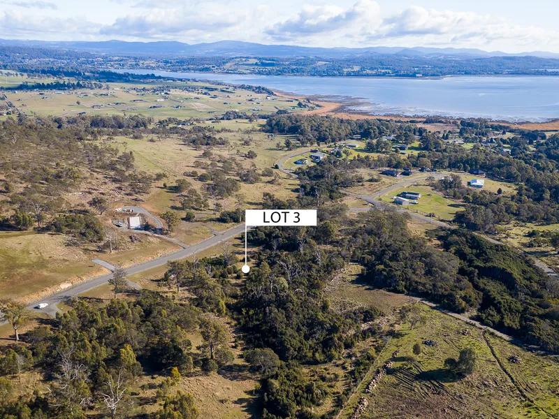 Swan Bay acreage!