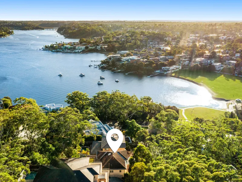 Explore the Blue-Chip Potential