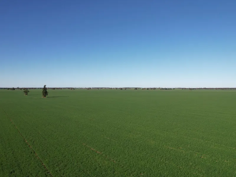 FOR LEASE - Red loam country suited to broad acre cropping + livestock