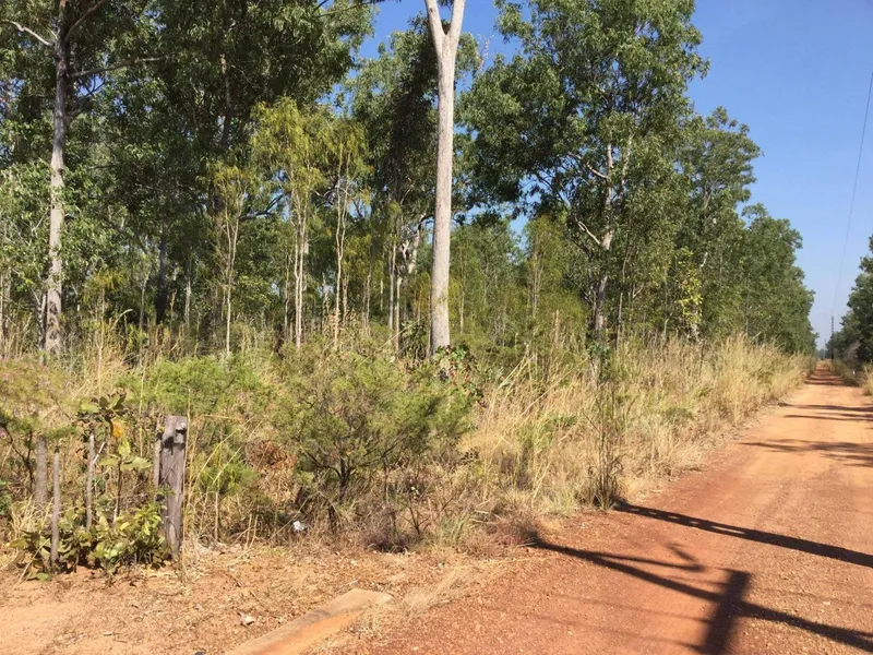 22.5 acre Natural Bush Block 510 Hopewell Rd