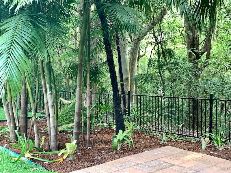 Magnificent 2 Bedroom Villa - 21a Perratt Close, Lisarow