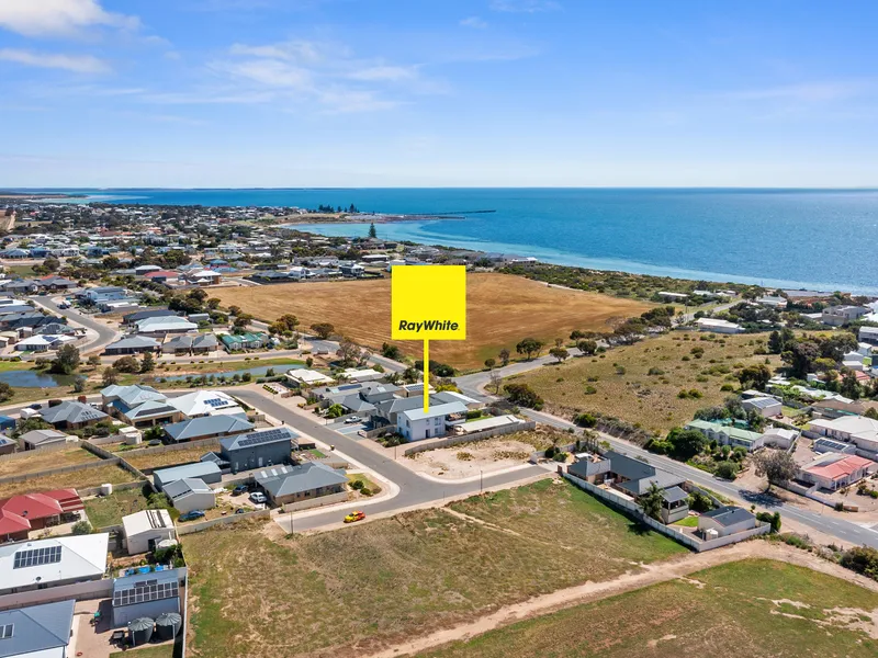 Christmas at the Beach !