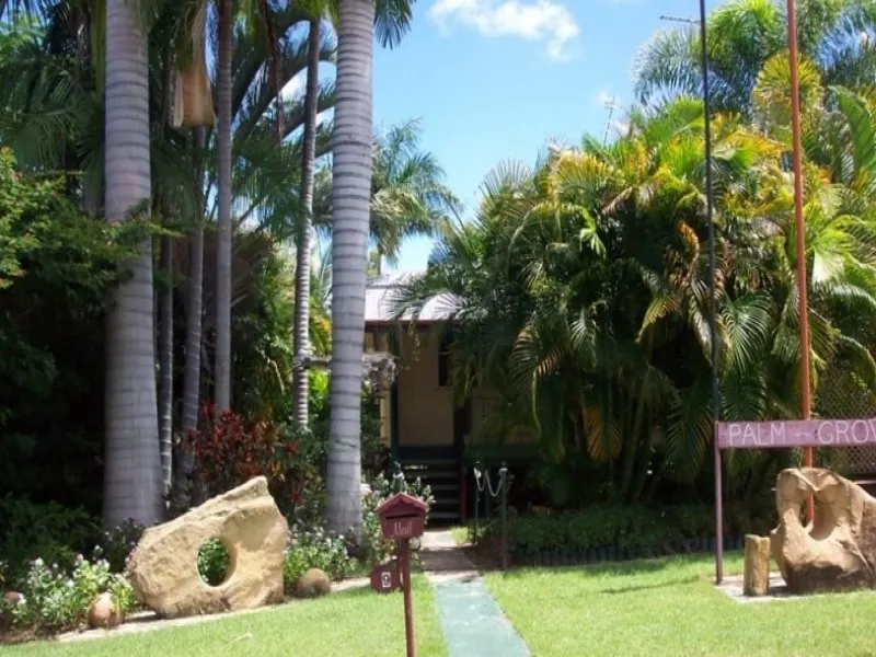 'Palm-Grove' - Be Quick!