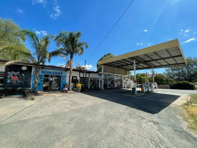 Business Opportunity - Fuel, Nursery and Tyre