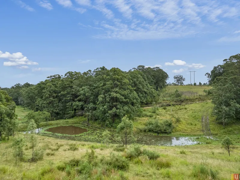 Bushland Escape