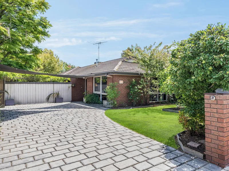 A Family Sanctuary With A Big Surprise