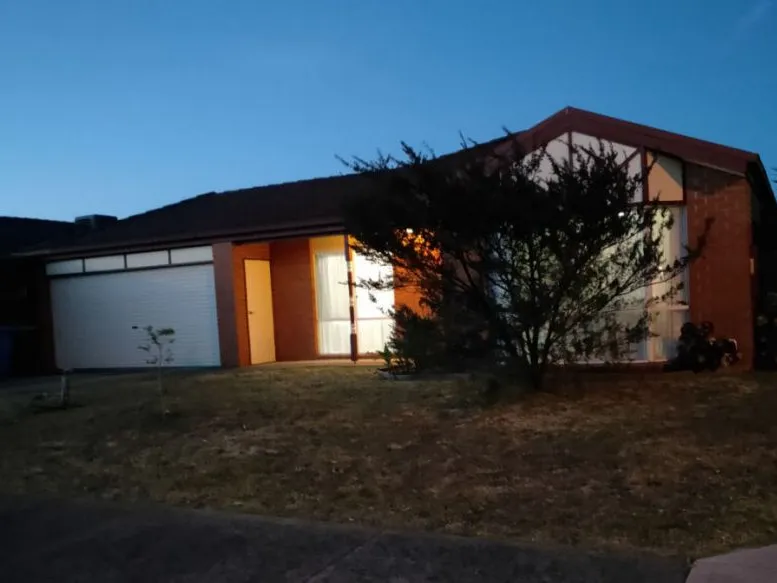 Entertainers Delight