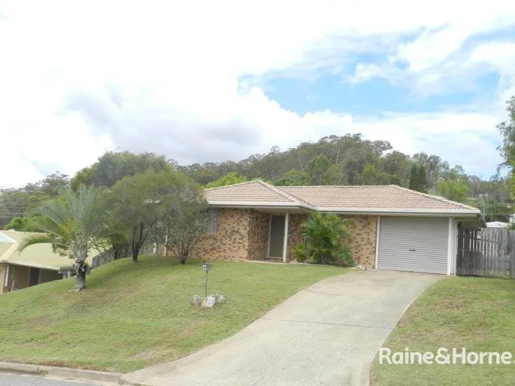 THE PERFECT STARTER!