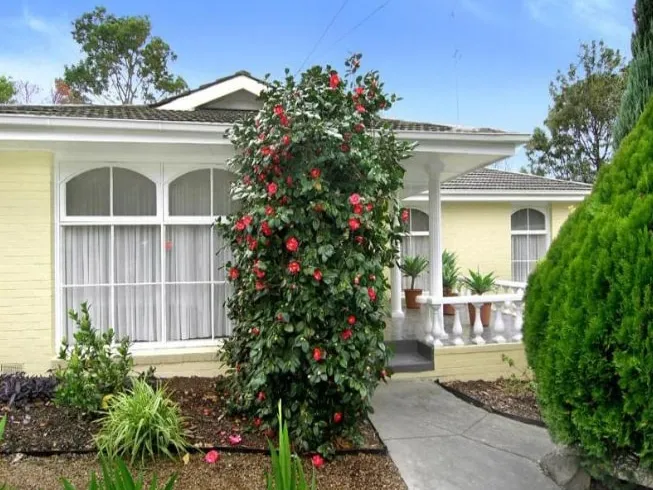 A HOME WITH PRIVACY AND CHARM OPPOSITE PARKLAND